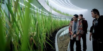 ARTJOG 2024 Tampilkan Kegelisahan Ketahanan Pangan Kita