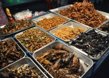 Serangga! Selamat Datang di Resto-Resto Singapura