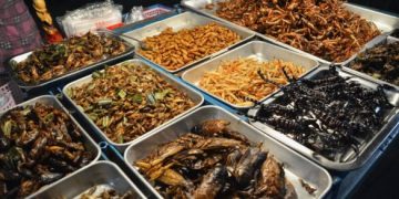 Serangga! Selamat Datang di Resto-Resto Singapura