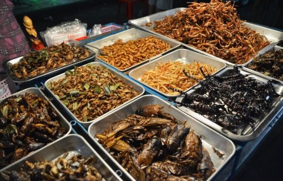 Serangga! Selamat Datang di Resto-Resto Singapura