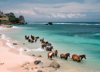 Sumba Memikat Wisatawan dengan Ketenangan
