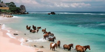 Sumba Memikat Wisatawan dengan Ketenangan