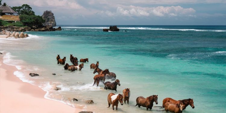 Sumba Memikat Wisatawan dengan Ketenangan