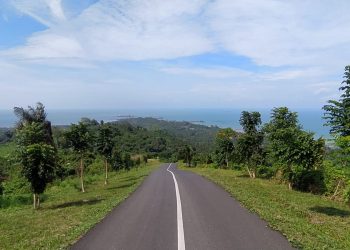 Di Bukit Mamake Bakal Ada 400 Pohon Endemi Kalimantan