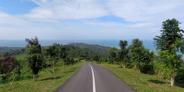 Di Bukit Mamake Bakal Ada 400 Pohon Endemi Kalimantan
